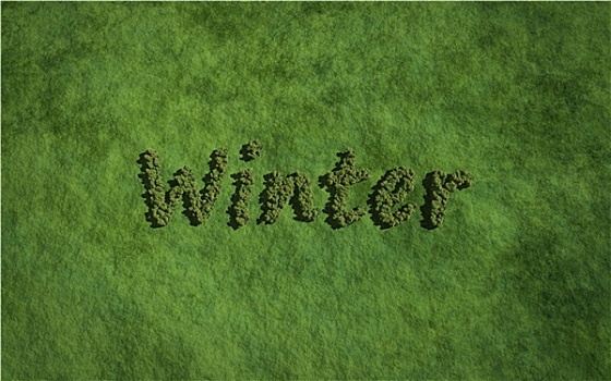冬天,文字,树,草,背景