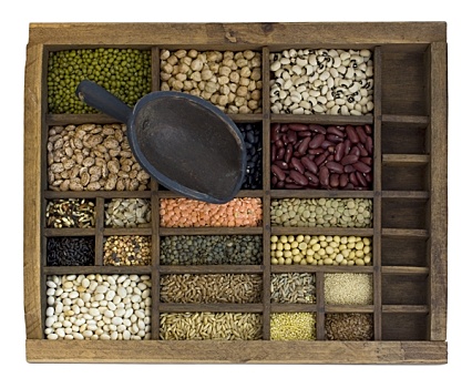 容器,舀具,种类,豆,谷物,种子