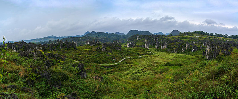 贵州贞丰竹林堡石林地貌全景