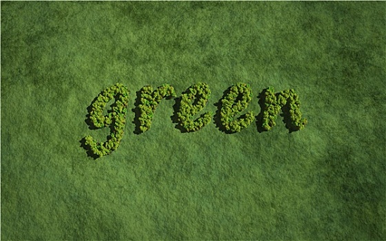 绿色,创作,树,草,背景