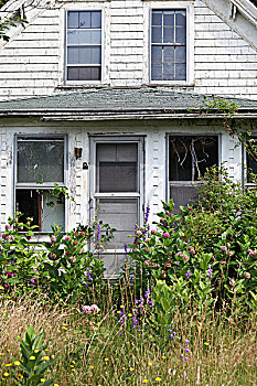 废弃,楔形板,房子,科德角,马萨诸塞,新英格兰,北美