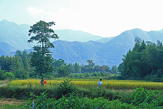 黟县宏村