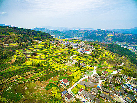 航拍,油菜花,线条,山村,田野