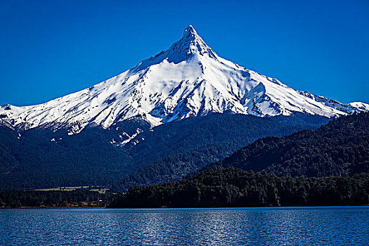 火山,湖,蔷薇目,巴塔哥尼亚,智利