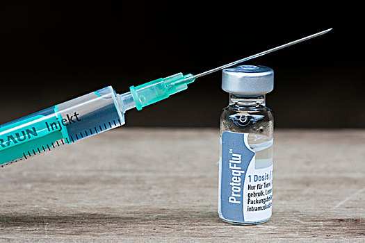 感冒,疫苗,马,瓶子,血清,注射针头