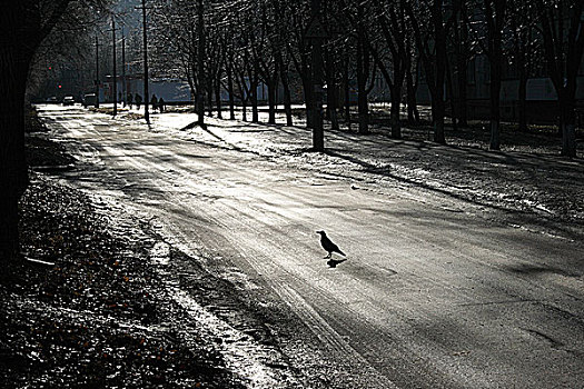 冰,街道