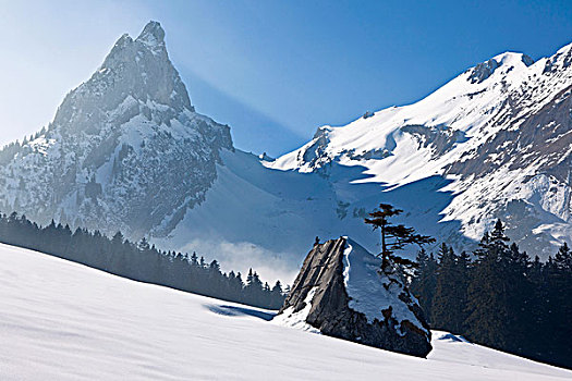 雪景,湖,阿尔卑斯山,阿彭策尔,瑞士,欧洲