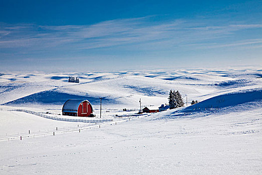 美国,爱达荷,老,红色,谷仓,初雪