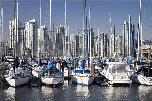 船,码头,福尔斯湾,温哥华,不列颠哥伦比亚省,加拿大