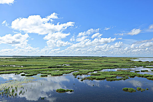 雁窝岛湿地