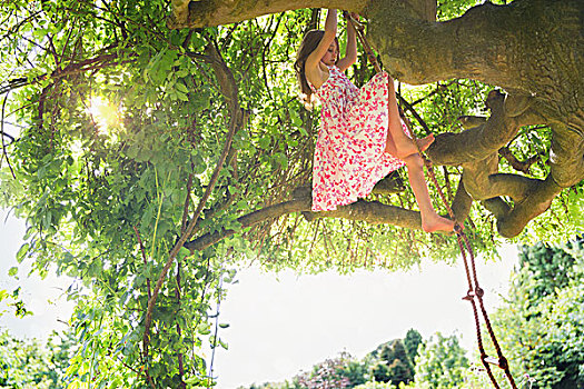女孩,太阳裙,攀登,树