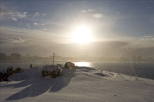 冬天,太阳,雷克雅未克,冰岛