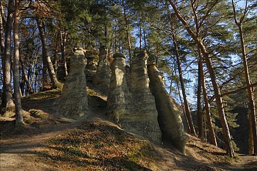 砂岩,柱子,康士坦茨湖,区域,巴登符腾堡,德国,欧洲