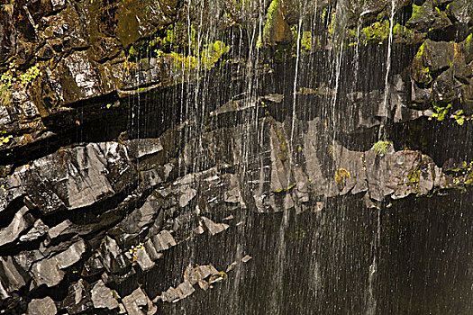 特写,瀑布,雷尼尔山国家公园,华盛顿,美国