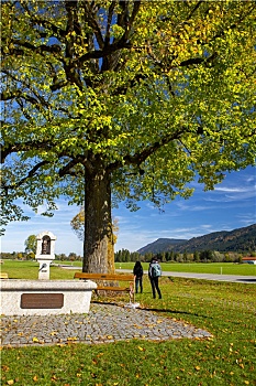 德国巴伐利亚施旺高镇教堂大树旁的水龙头及水池