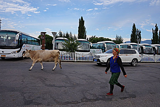 新疆那拉提草原景区风光和牧民生活状态