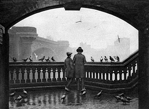 一个,男人,男孩,喂食,鸟,黑衣修道士桥,伦敦