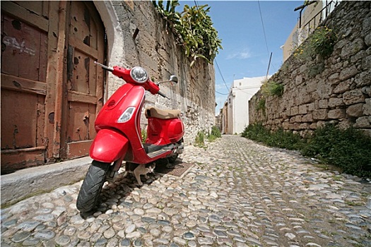 红色,意大利,摩托车