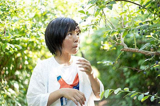 蓝莓,挑选