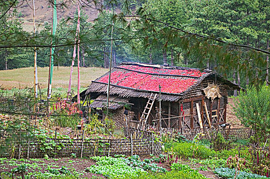 不丹,布姆唐,小屋