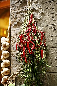 红椒,蒜,墙壁,佛罗伦萨,意大利