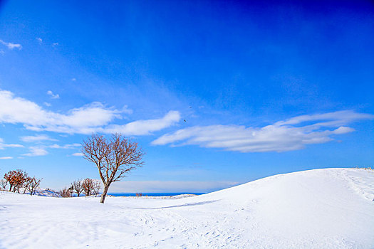 北海道无人雪景