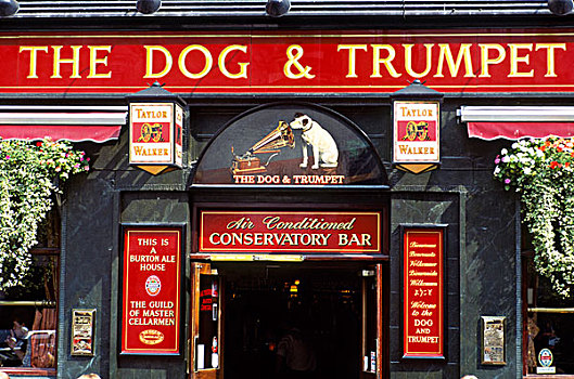 狗,酒吧,在家办公,伦敦,英国