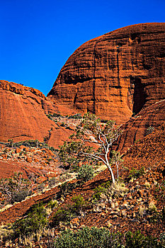 山谷,风,奥尔加,卡塔曲塔,乌卢鲁卡塔曲塔国家公园,北领地州,澳大利亚