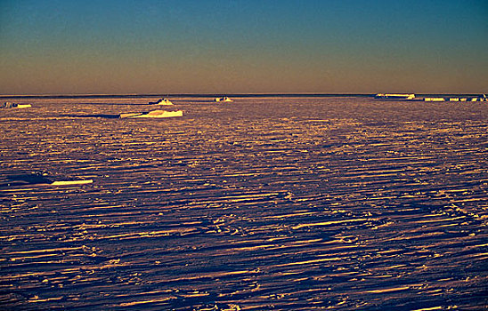 南极,冰,架子,航拍,迅速,冰山