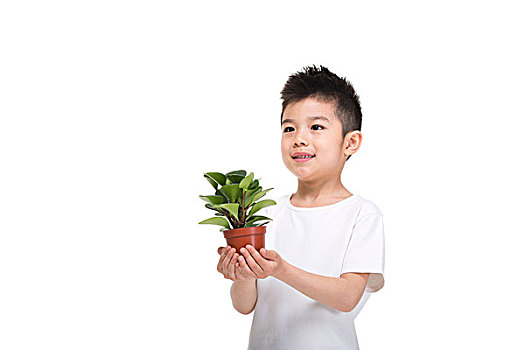 拿著綠色盆栽植物的小男孩
