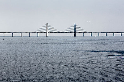 桥,哥本哈根,斜拉桥,瑞典,欧洲