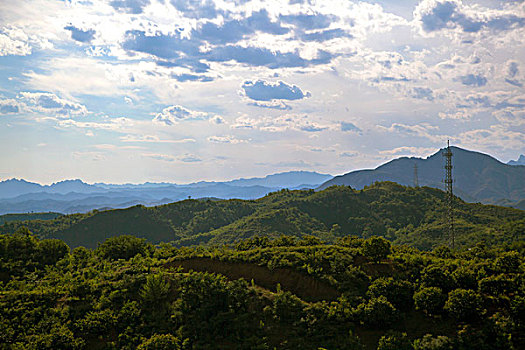 长满绿色植物的青山