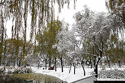 雪景