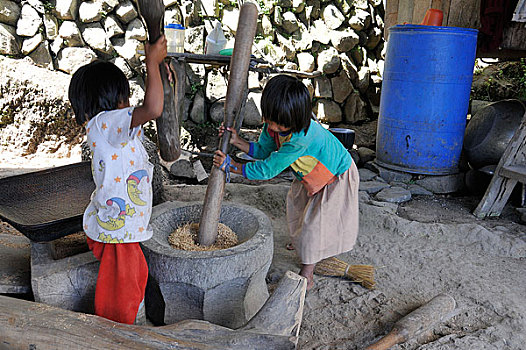菲律宾,北方,吕宋岛,孩子,挤压,稻米