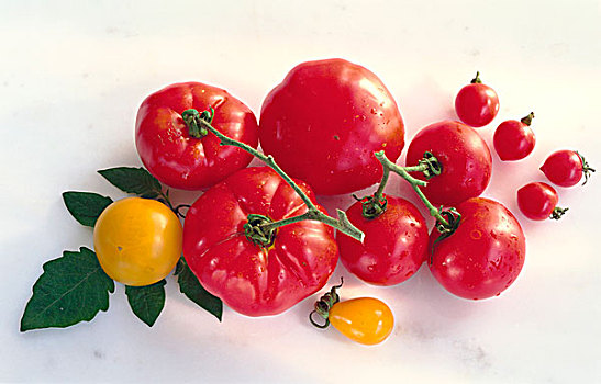 多样,红色,两个,黄色西红柿