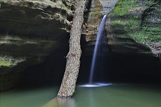 瀑布,树干,展示,亮光,折射,水,峡谷,室内,伊利诺斯,美国