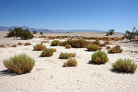 马斯奎特沙丘,死亡谷国家公园,莫哈维沙漠,加利福尼亚,美国,北美