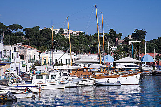 帆船,停泊,港口,伊斯基亚,岛屿,那不勒斯省,坎帕尼亚区,意大利