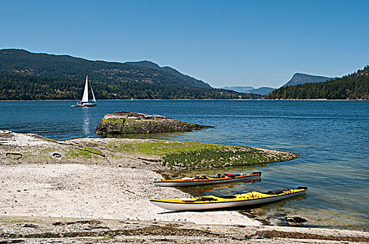 皮划艇,帆船,岛屿,景色,弗尔福特港,盐泉岛,不列颠哥伦比亚省,加拿大