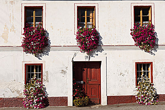 老,房子,矮牵牛花属植物,罗森塔尔,卡林西亚,奥地利,欧洲