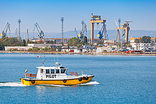 黄色,白色,小,领航员,船,港口,瓦尔纳,保加利亚