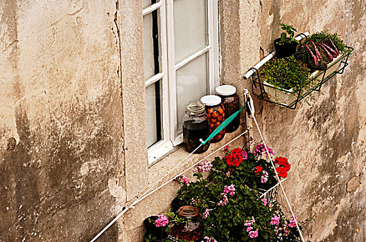 水果,天竺葵,药草,窗台花箱,杜布罗夫尼克,克罗地亚