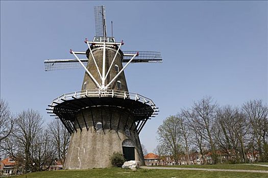 荷兰,风车,米德尔堡