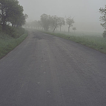 空,弯曲,道路,早晨,湿,脚印,沥青,模糊,农业,风景,捷克共和国,2003年