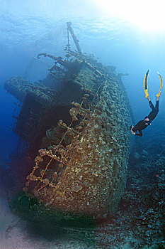 潜水,残骸,红海,沙姆沙伊赫,埃及,非洲
