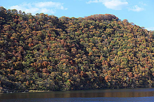 山,树木,秋天,湖
