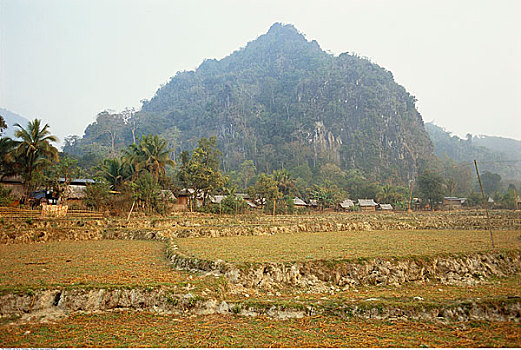 稻田,老挝