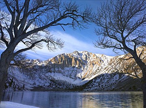 山,犯人,湖,框架,荒芜,树,冬天,加利福尼亚