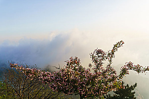 泰山风光