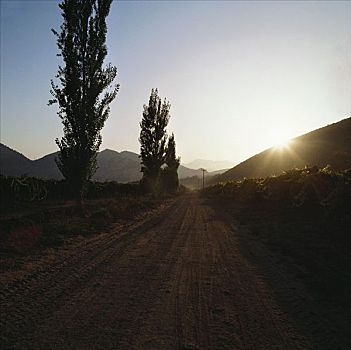 道路,不动产,米埔谷,智利